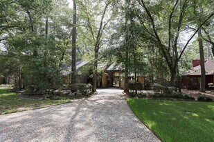 75 Indian Clover Dr in Spring, TX - Building Photo