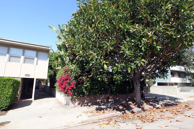 1319 Barry Ave in Los Angeles, CA - Building Photo - Building Photo