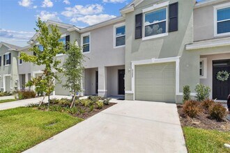 17253 Amber Aspen Wy in Land O Lakes, FL - Building Photo - Building Photo