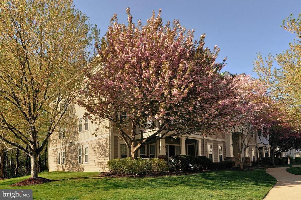 13103 Millhaven Pl in Germantown, MD - Building Photo