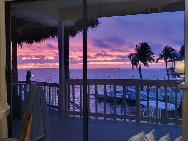 property at 222 Bristol Ct