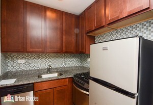 556 W Arlington Pl, Unit M08B in Chicago, IL - Foto de edificio - Building Photo