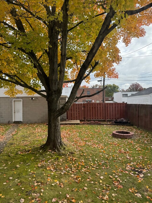 4235 Chester Dr, Unit 1 in Boardman, OH - Building Photo - Building Photo