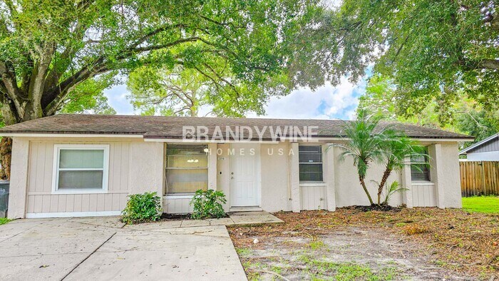 3716 Ambermist Dr in Tampa, FL - Building Photo