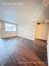 1261 Balsam St in Denver, CO - Building Photo - Building Photo