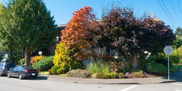 1285 Martin St in White Rock, BC - Building Photo - Building Photo