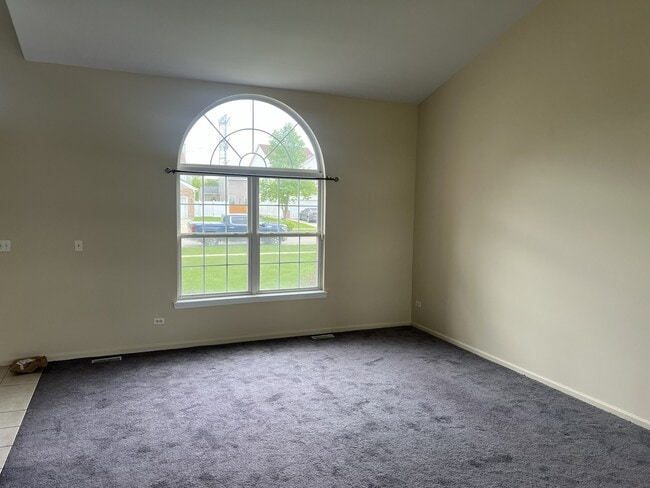 437 S Orchard Dr in Bolingbrook, IL - Building Photo - Building Photo