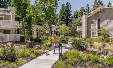 The Biltmore in Cupertino, CA - Building Photo - Building Photo