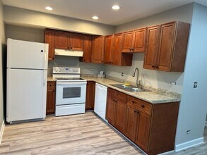 1010 Denham Pl in Schaumburg, IL - Building Photo - Building Photo