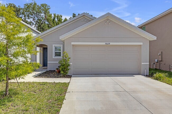36628 Spanish Rose Dr in Dade City, FL - Building Photo - Building Photo