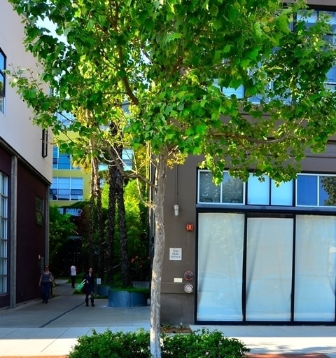 1500 Park Ave in Emeryville, CA - Building Photo - Building Photo