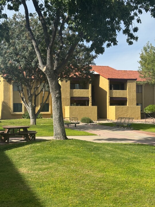 2194 N Pantano Rd in Tucson, AZ - Building Photo