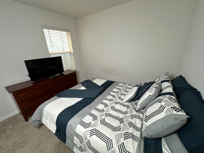 10942 Trailing Vine Dr in Tampa, FL - Foto de edificio - Building Photo