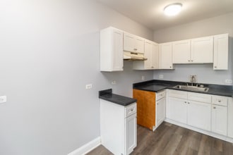 6916 S Clyde Ave in Chicago, IL - Building Photo - Building Photo