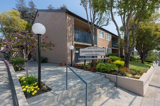 Creekside Terrace in Castro Valley, CA - Building Photo - Building Photo