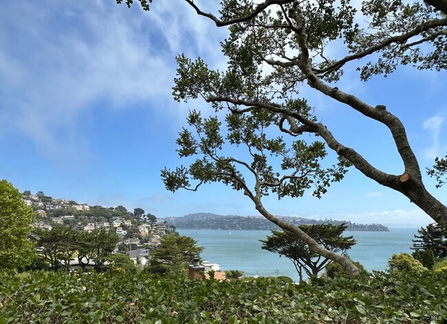 122 Edwards Ave in Sausalito, CA - Building Photo - Building Photo