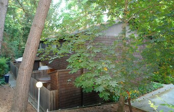 3273-3277 Marlene Dr in Lafayette, CA - Building Photo - Building Photo