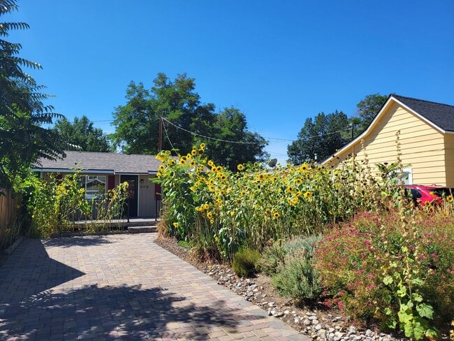 509 E Spear St in Carson City, NV - Building Photo - Building Photo