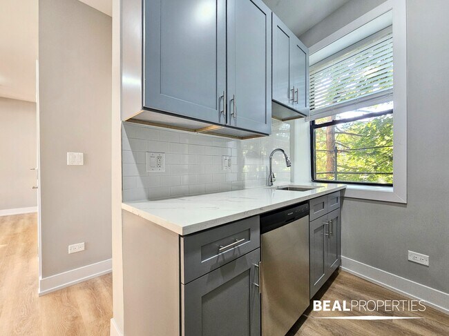 438 W Belden Ave in Chicago, IL - Building Photo - Building Photo