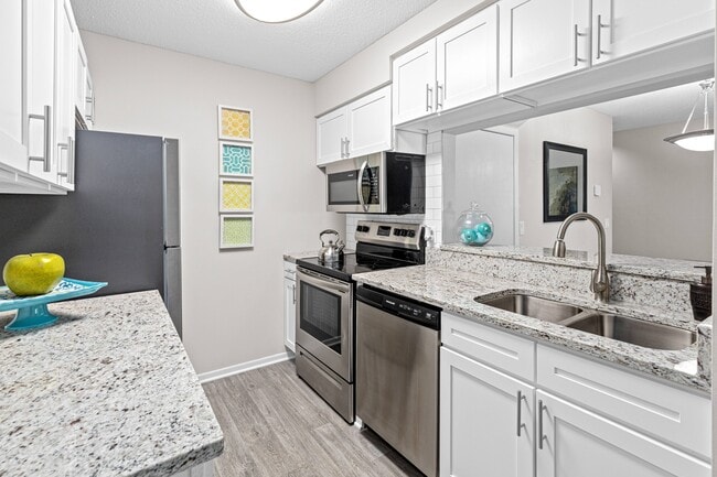 SouthFork Townhomes + Flats in Lakeville, MN - Building Photo - Building Photo