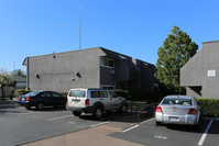 Parkwood Apartments in San Diego, CA - Building Photo - Building Photo