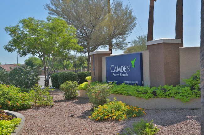 Camden Pecos Ranch in Chandler, AZ - Building Photo - Building Photo
