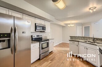 16854 Dandelion Way in Parker, CO - Foto de edificio - Building Photo