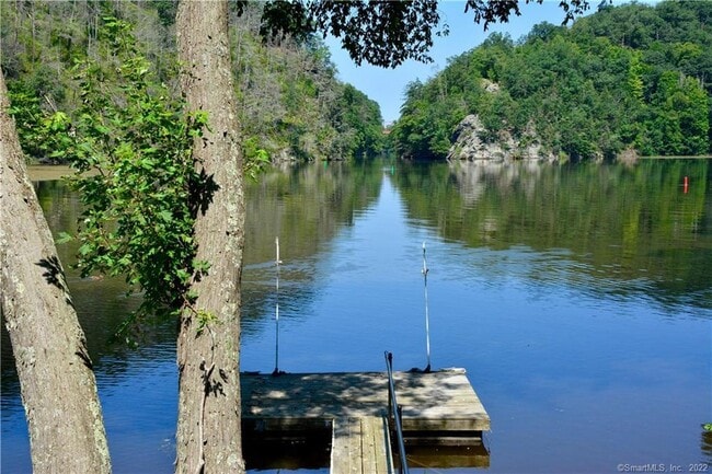 67 Lake Lillinonah Rd N in Bridgewater, CT - Building Photo - Building Photo