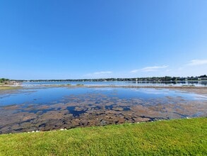 16617 Ivy Lake Dr in Odessa, FL - Building Photo - Building Photo