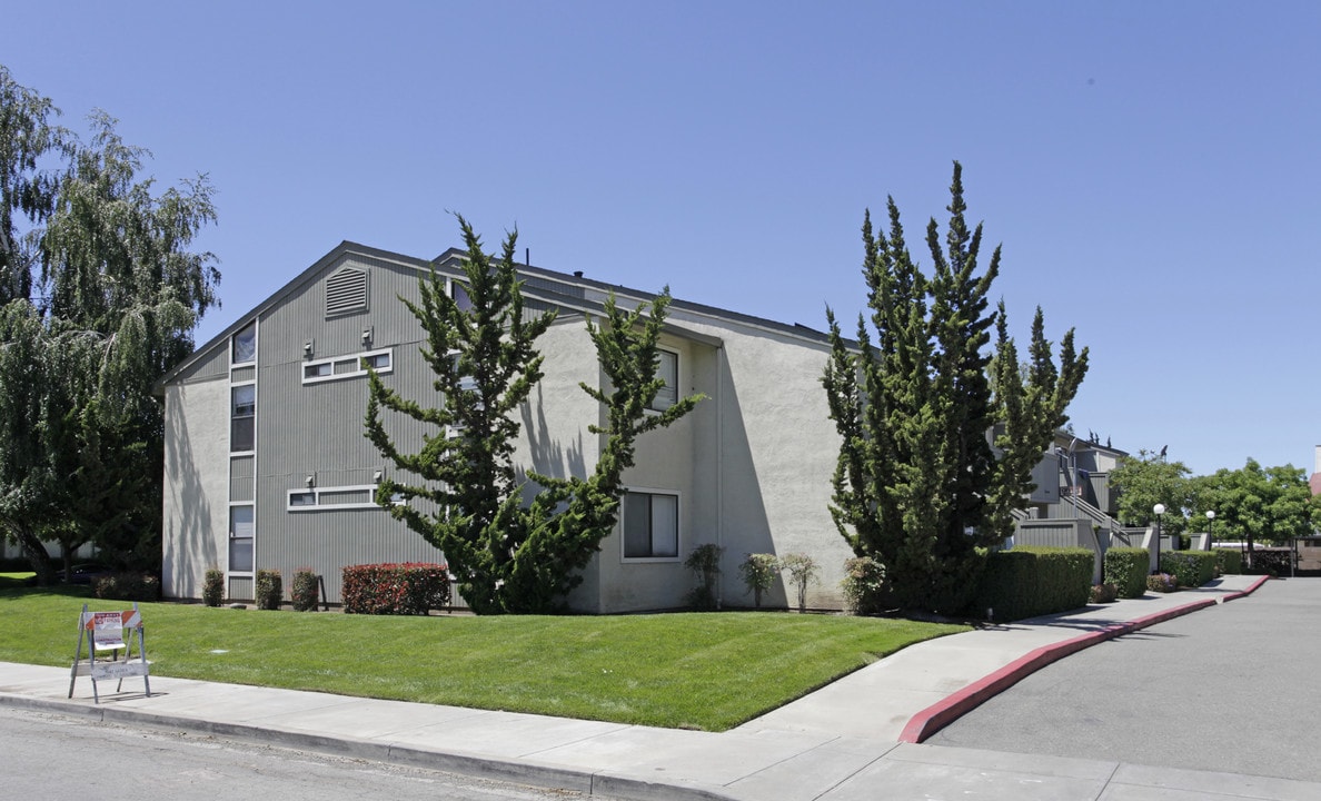 Trimboli Terrace Apartments in Fremont, CA - Building Photo