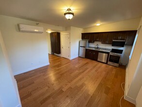 33 S Lake Ave in Albany, NY - Building Photo - Building Photo