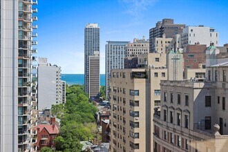 1300 N Astor St in Chicago, IL - Building Photo - Building Photo