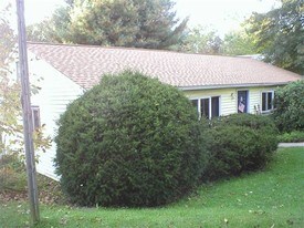 219 Old Kings Hwy in Ulster Park, NY - Building Photo