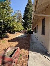 2994 Roundhill Rd in Alamo, CA - Building Photo - Building Photo