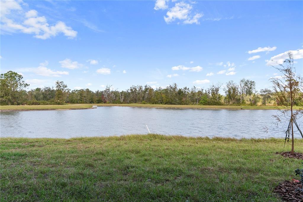 33083 Regent Canal St in Wesley Chapel, FL - Building Photo