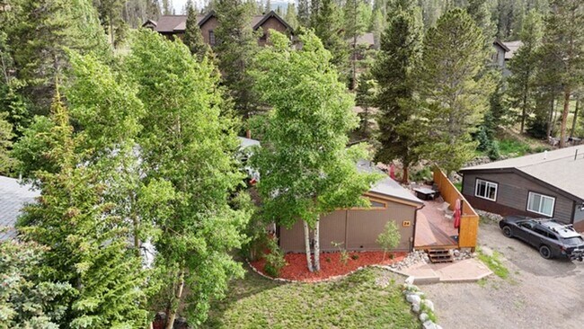 24 Magnum Bonum Dr in Breckenridge, CO - Building Photo - Building Photo