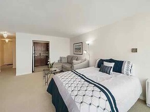 21 W Goethe St in Chicago, IL - Building Photo - Building Photo