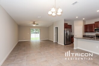 10234 Strawberry Tetra Dr in Riverview, FL - Building Photo - Building Photo