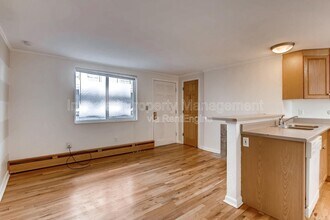 336 N Grant St in Denver, CO - Building Photo - Building Photo