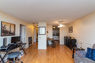 899 S Plymouth Ct in Chicago, IL - Building Photo - Building Photo