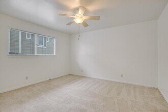 1201 Dailey St in Austin, TX - Building Photo - Building Photo