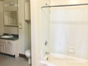 262 Illinois St in Central Falls, RI - Building Photo - Building Photo