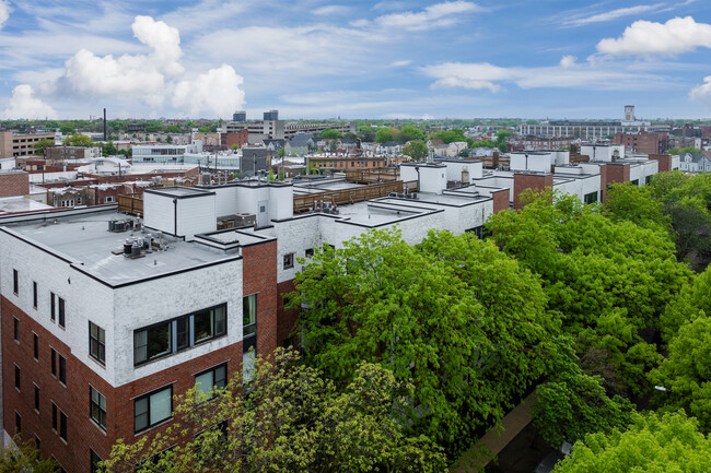 2307-2337 W Wolfram St in Chicago, IL - Building Photo - Building Photo