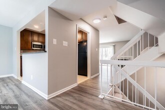6028 Forrest Hollow Ln in West Springfield, VA - Building Photo - Building Photo