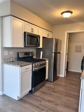 1 Elm Ct in Bolingbrook, IL - Building Photo - Building Photo