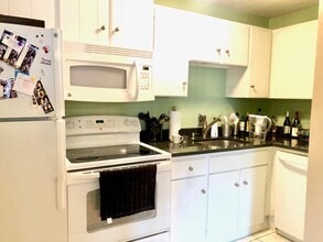 133 Appleton St, Unit 207 in Boston, MA - Building Photo - Building Photo