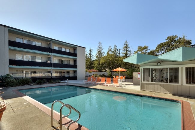 The Arbors Apartments in Walnut Creek, CA - Building Photo - Building Photo