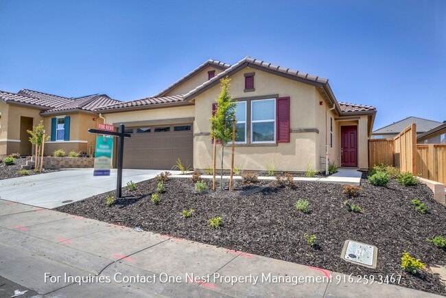 250 Martos Ct in Lincoln, CA - Building Photo - Building Photo