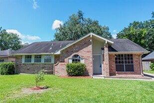 10418 Sagemeadow Ln in Houston, TX - Building Photo
