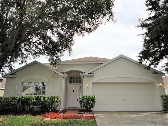 29812 Morning Mist Drive in Wesley Chapel, FL - Building Photo